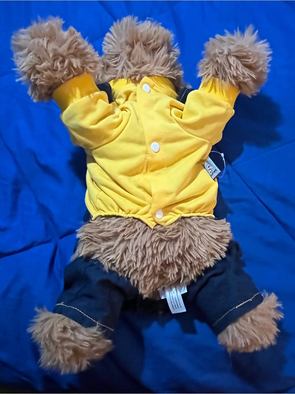 Dog  Overall with Yellow sweater - Picture 4 of 7